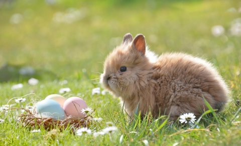 Lokað fyrir verklega ökukennslu næstu 3 vikur