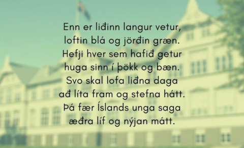 🇮🇸  Gleðilegan þjóðhátíðardag Íslendinga